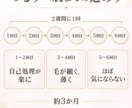 Instagram投稿 12投稿します 【月額】（ネタ出し〜画像制作まで） イメージ9