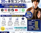 SNS運用初心者中級者に30分本気コンサルします 何から始めていいかわからない人にこの先の道筋を明確に示します イメージ1