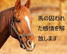 馬の囚われた感情を解放します エモーションコード　馬のストレスを解放します。 イメージ1