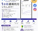 Meta広告を1ヶ月丁重に運用します Meta広告の配信設定から改善まで対応します イメージ1