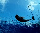 心がスッとかるくなります 癒しを感じてみませんか？なんとなく気分が重いと感じるあなたへ イメージ3