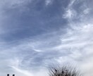 あなたの夢、目標を一緒に探し続けます 今日の目標も10年後の夢もあなたの目標は一歩進む光 イメージ1