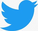 X/Twitterのフォロワー1000人増やします ◆豪華特典付◆人数限定大幅値下げ実施中 イメージ10