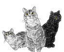 大切なペットの写真をもとに心を込めて描きます 大切なうちの子の忘れられない瞬間をイラストにしませんか？ イメージ5