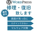 ワードプレスの動作エラーや不具合を復旧します 最短１日で壊れたワードプレスを復旧します。 イメージ1