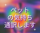 ペットからのメッセージをあなたへ言葉で届けます 魂の声を読むアニマルコミュニケーションで愛のメッセージお届け イメージ3