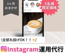 激安！Instagram1ヶ月運用します 画像作成から投稿まで全部おまかせ！認知度を上げるインスタ運用 イメージ1