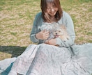 犬【SNS掲載なし】わんちゃんのお写真撮影します 何気ない毎日を、かけがえのないキヲクに。 イメージ7
