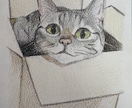 色鉛筆で描いたペットの肖像画を原画でお届けします 犬・猫・鳥・爬虫類・魚類・昆虫など種類は問いません イメージ3