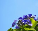 友達感覚✿気軽にOK❣️あなたと2人でお話します 今すぐ聞いて❗️愚痴、悩み、雑談 、何でもOK(｡•ᴗ•ฅ) イメージ8