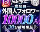 インスタのフォロワー1000人増やします オプションにてフォロワー増加人数調整可能です！ イメージ5