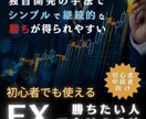シンプルなFX取引マニュアルを提供します エントリー判断を容易に行なえる独自開発の手法です。 イメージ2