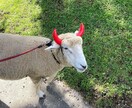 話し相手や愚痴聞きになります どんな愚痴でも聞きます！話し相手になります！ イメージ1