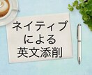 カナダ人元会社社長による英語添削、校正します 正しい且つ自然な英文を自信を持ってお届けします イメージ1