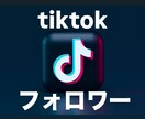 ティックトックのフォロワーが増えるよう拡散します ２０００人｜１０万人まで可能！！ イメージ1