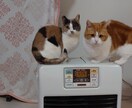 現役キャバ嬢が何でも聞きます 37歳で9歳の息子がいて、現役キャバ嬢です。沢山お話しましょ イメージ2