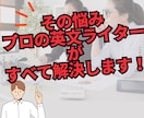 2000字x5★英文プロライターが記事を執筆します 英語でSEO対策記事を丸投げ作成！ブログやアフィリエイトも イメージ3