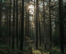 ツインレイ鑑定【二人の魂の相性と今後】を霊視します 二人の運命・魂の相性を全て明らかにします イメージ5