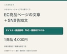 EC商品説明・見出し・SNS告知文を作成します 商品情報を整理し、説明文とFAQまで一式作成 イメージ1