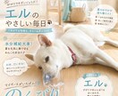 うちの子、雑誌デビューします ペット写真を表紙みたいな一枚に イメージ5