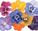 植物・花・ボタニカルのイラストを制作します パッケージや書籍に使える植物や花のイラストならお任せください イメージ2