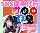 Instagram等SNS運用代行・サポートします ＊貴方に合わせたSNS運用代行・サポートを提供！ イメージ1