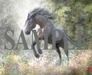 プロイラストレーターが馬のイラスト制作します 乗馬歴10年以上、元出版社専属イラストレーターが制作します！ イメージ3