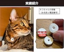 爆速×高品質！設計から3Dプリント印刷代行します ロボコン日本代表経験あり！慶應理系学生による3Dプリント代行 イメージ3
