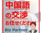 中国語交渉・実務サポートで海外ビジネスを完遂します 【プロにお任せ】中国語での交渉/各種業務/代行サポート イメージ1