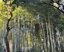 どんな話でも真剣に聞かせていただきます どんな話も親身に聞かせていただきます。 イメージ2