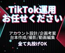 現役クリエイターがTikTok1ヶ月運用代行します ～バズるきっかけをあなたに～　1ヶ月間のサポートを提供します イメージ1
