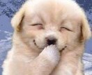 2日間メ✉️何でもお悩みお聞きします 楽しい話、悲しい話、難しい話、なんでもオッケーです! イメージ6