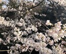 1人で悩まないでください、お話しいくらでも聞きます 少しでも心の負担が軽くなるようにしましょ イメージ1