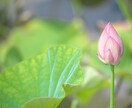 愛の道標　霊感タロット【恋愛占い】霊感占いします 霊感タロット/恋愛占い/相手の気持ち/二人の未来/結婚 イメージ3