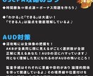 USCPA合格者がAUD攻略ノートを販売します 7ヶ月でUSCPA全科目合格のノウハウを凝縮した完全攻略本 イメージ2