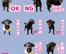 ペットや人物の写真でLINEスタンプを作ります オシャレ系でも可愛い系でもご要望に合うLINEスタンプ制作！ イメージ5