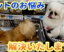 ペットのお悩みペット業界のお悩み解決します ペットちゃんのお悩みペット業界の方々のご相談ください！ イメージ1