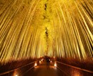 心の病がある方助けます 心の悩み親や恋人や仕事で抱えてる人におすすめ イメージ1