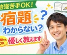 勉強嫌いOK！宿題の「分からない」を解説します 怒りません・何回でも聞いてOK。わかるまで付き合います イメージ1