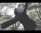 現役プロアーティストが振付致します 簡単な振付〜激しい振付まで、オリジナルの振付します！ イメージ5