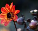 画像、写真の切り抜き承ります 安く、早くをモットーに納品いたします。 イメージ5