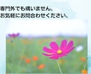 話を聴いてほしい!どんなお話も全力でお聴きします 現役生活相談員。国家資格複数保持。安心してお話ください。 イメージ6