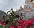 東京ディズニーリゾートでの行動計画を提案します 東京ディズニーリゾートで楽しく過ごせるサポートを致します。 イメージ5