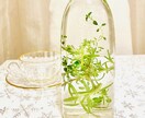 さらりトーク。新しい扉を開けるお手伝いします 夫が死ぬまで待つ？！今を生きるためにPIYAMINと話そう イメージ4