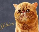 想いを乗せたイラストを描きます 飼い主さまの愛情をヒアリングし、イラストに生かします。 イメージ2