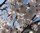 どんなお話しもお聞きしますます 「迷惑かな」「誰にも話せない」〜気軽な気持ちで話してみて〜 イメージ4