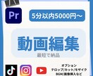 迅速！丁寧！柔軟！に動画編集いたします 高品質なYouTube動画編集を致します イメージ1