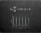 数理生物学について丁寧に解説します 生物系だけど高度な数学を使う新しい分野を開拓したい方を応援 イメージ2