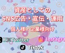 凍結対策！プロがSNSの運用代行をさせて頂きます X /Instagram/Tiktok運用代行サービス イメージ1