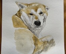 犬や猫の絵を描きます 画像からえんぴつや顔彩で絵を描きます。 イメージ8